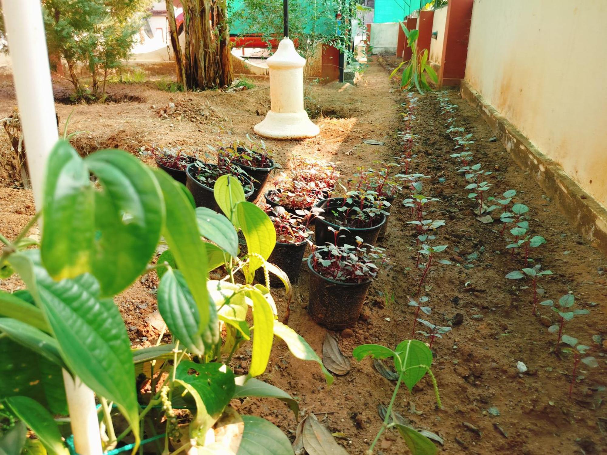 The Ixora - A Boutique Homestay Varkala Ngoại thất bức ảnh