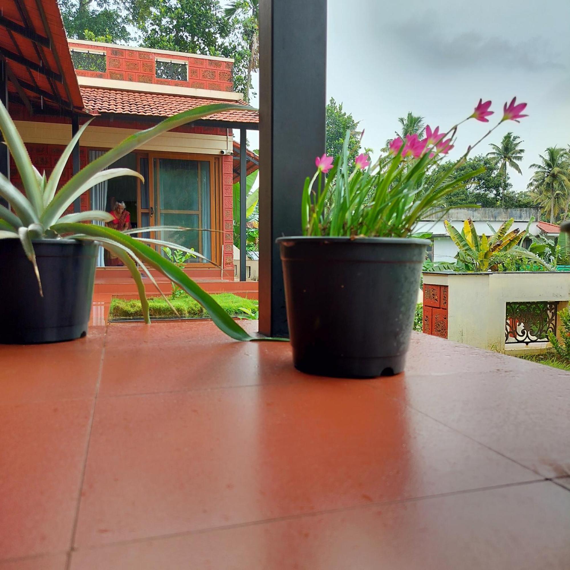 The Ixora - A Boutique Homestay Varkala Ngoại thất bức ảnh