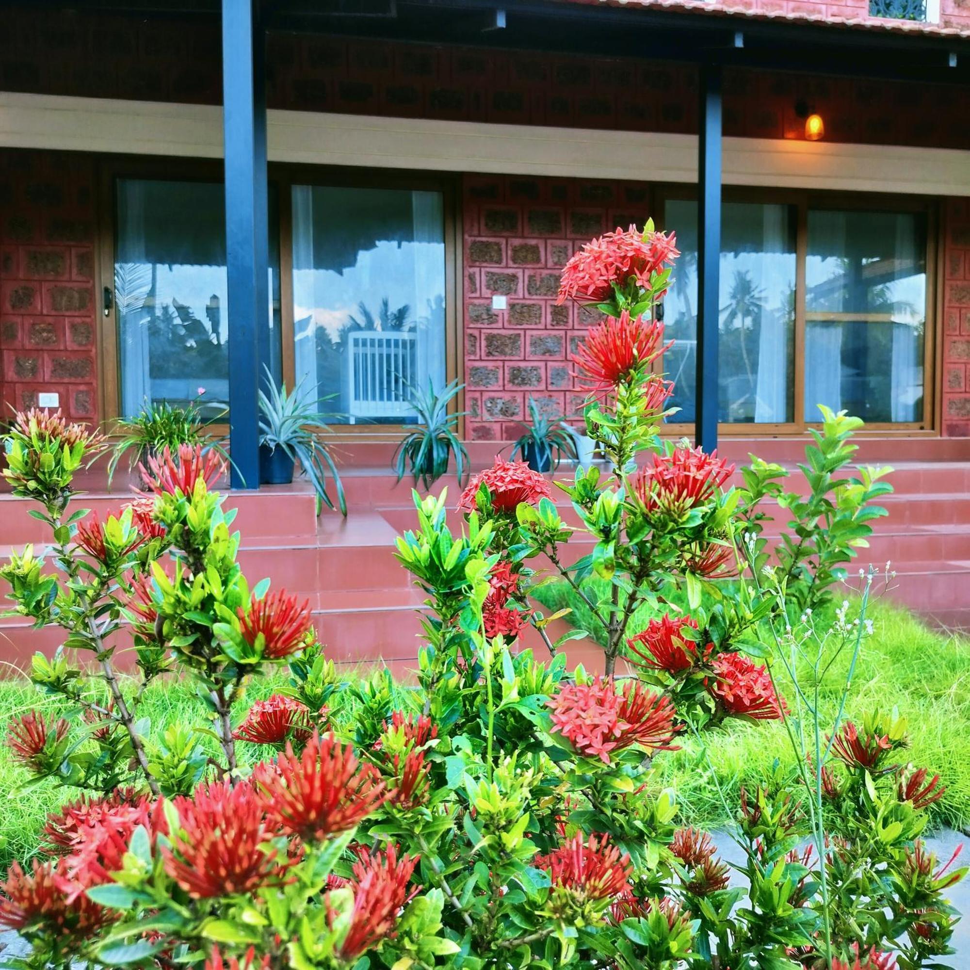 The Ixora - A Boutique Homestay Varkala Ngoại thất bức ảnh